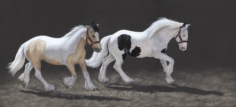 gypsy horse cob drawing