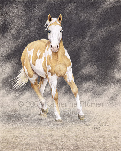 Colored Pencil Drawing Paint Horse